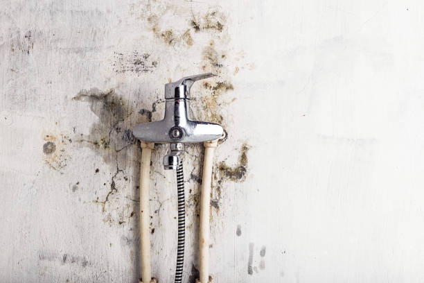 Best Mold Remediation Experts  in Leisuretowne, NJ