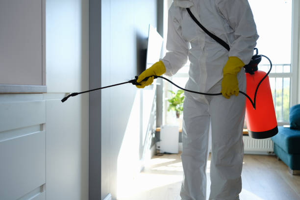 Best Toxic Mold Removal  in Leisuretowne, NJ