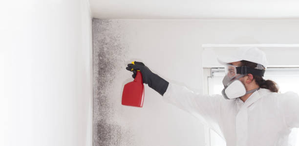 Best Crawl Space Mold Removal  in Leisuretowne, NJ